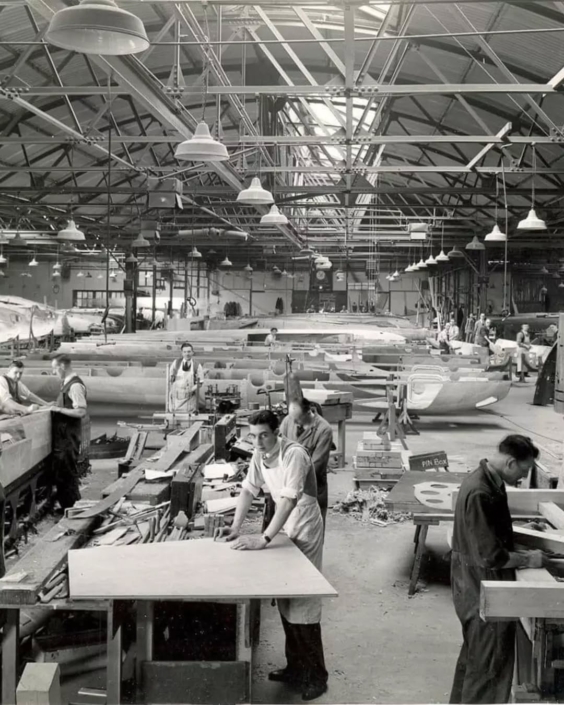 Mosquito Factory 1