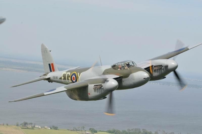 mosquito 4
